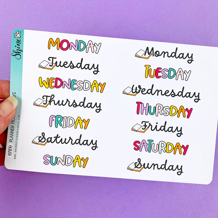 Planner Picnic Weekday Planner Stickers – Shine Sticker Studio