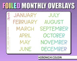 Foiled Monthly Overlays By Shine Sticker Sticker
